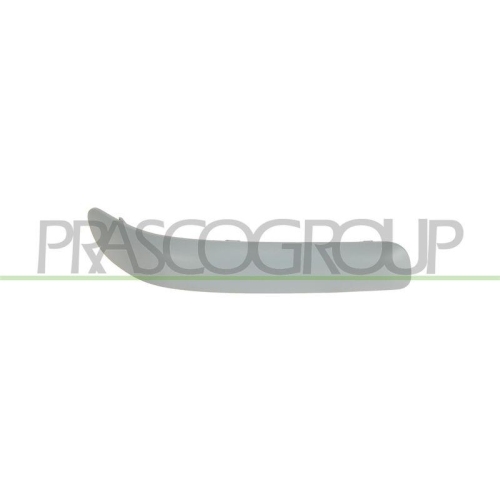 PRASCO Zier-/Schutzleiste, Sto&szlig;f&auml;nger Premium TY3241263