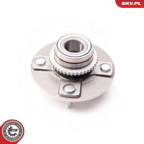 ESEN SKV Radlagersatz 29SKV170