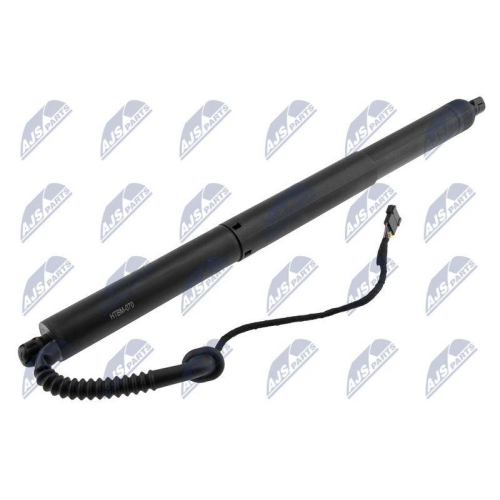 NTY Gasfeder, Koffer-/Laderaum AE-BM-070