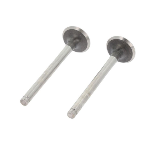 CORTECO Auslassventil 550002B