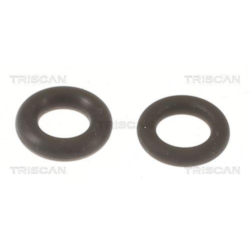 TRISCAN Dichtungssatz, Einspritzd&uuml;se 596-1004