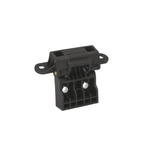 PACOL T&uuml;rscharnier RVI-FP-012