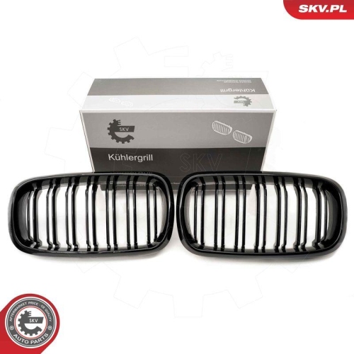 ESEN SKV Kühlergitter
