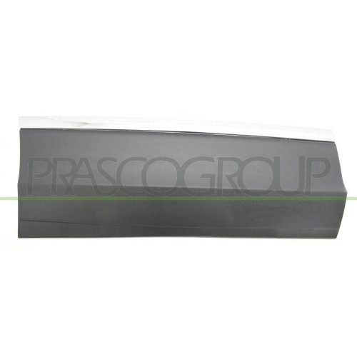 PRASCO Zier-/Schutzleiste, T&uuml;r VG8101463