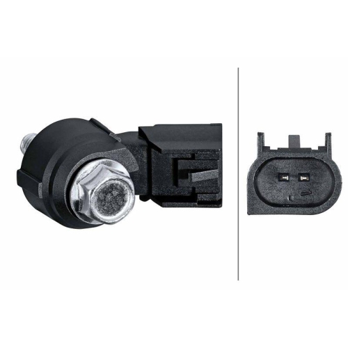 HELLA Klopfsensor 6PG 013 114-611