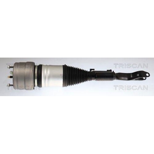 TRISCAN Luftfederbein 8720 23109