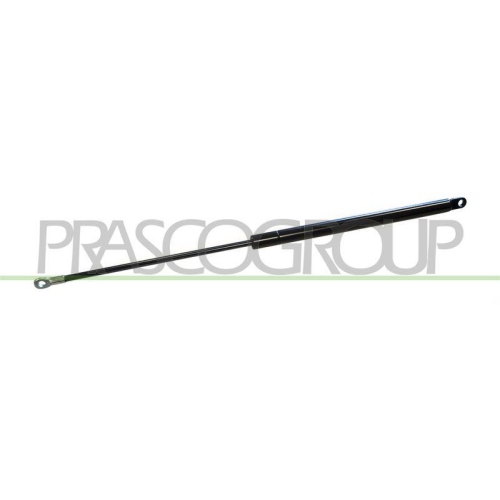PRASCO Gasfeder, Koffer-/Laderaum FT1219055