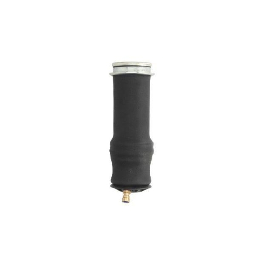 Magnum Technology Federbalg, Fahrerhauslagerung MC166