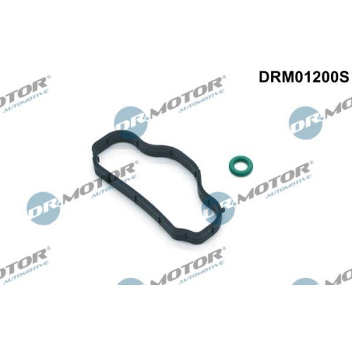 Dr.Motor Automotive Dichtungssatz, Zylinderkopfhaube DRM01200S