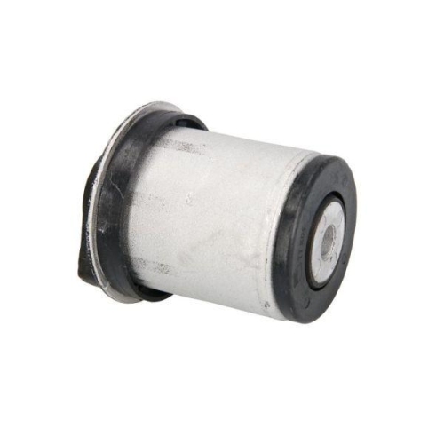 REINHOCH Lagerung, Achsk&ouml;rper RH20-5002