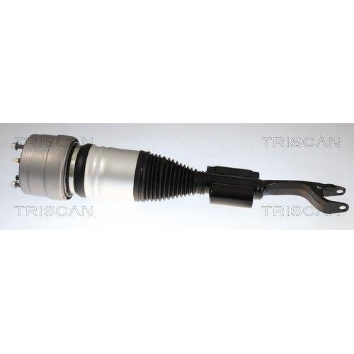 TRISCAN Luftfederbein 8720 23110