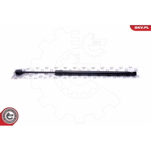 ESEN SKV Gasfeder, Koffer-/Laderaum