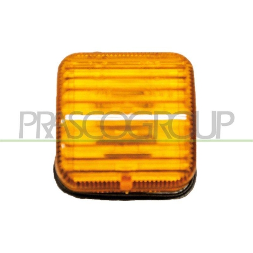 PRASCO Blinkleuchte FT9194138