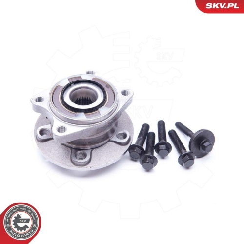 ESEN SKV Radlagersatz 29SKV175