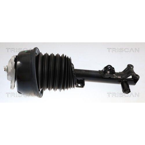 TRISCAN Luftfederbein 8720 23113