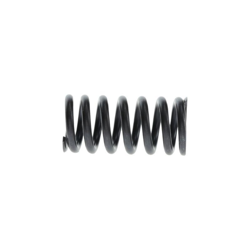 BOSCH Feder 2 414 619 021