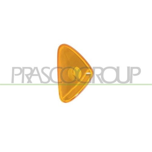 PRASCO Blinkleuchte FT9194139