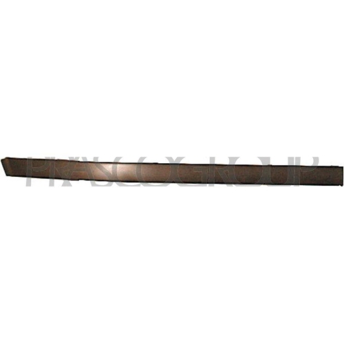 PRASCO Zier-/Schutzleiste, Sto&szlig;f&auml;nger BM0441243