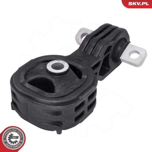 ESEN SKV Lagerung, Motor 75SKV313