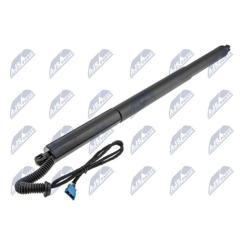 NTY Gasfeder, Koffer-/Laderaum AE-BM-081