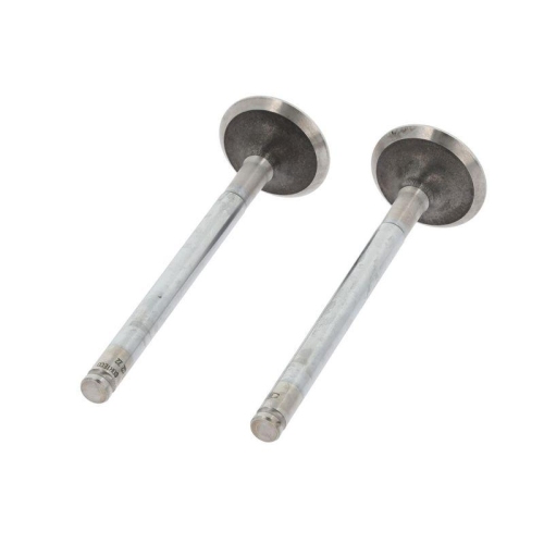 CORTECO Auslassventil 550243B