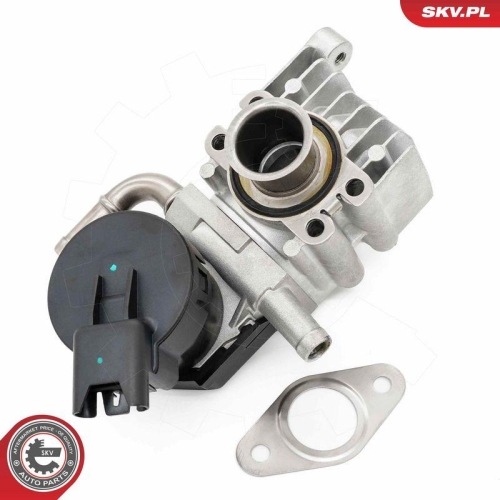 ESEN SKV AGR-Ventil 14SKV283