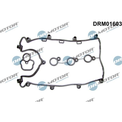 Dr.Motor Automotive Dichtungssatz, Zylinderkopfhaube DRM01603