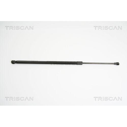 TRISCAN Gasfeder, Koffer-/Laderaum 8710 14245