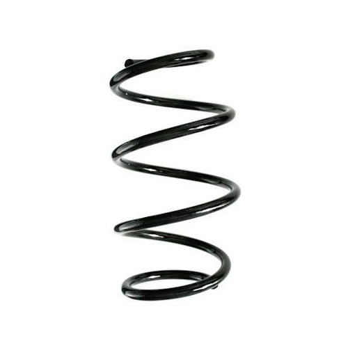 SPIDAN Fahrwerksfeder GKNW10098