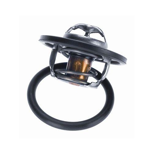 BorgWarner (Wahler) Thermostat, Kühlmittel