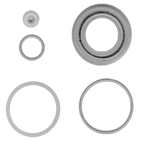 TRW Reparatursatz, Bremssattel SJ1537