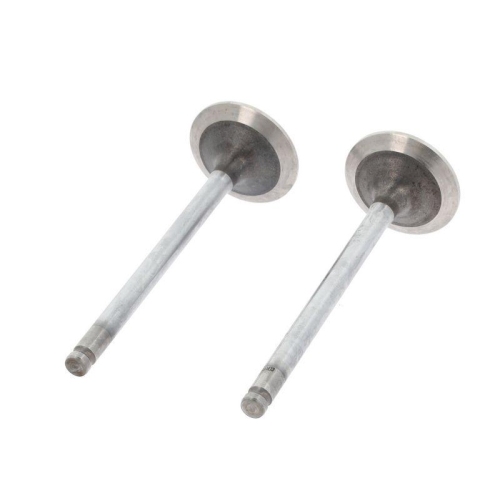 CORTECO Einlassventil 550252B