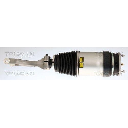 TRISCAN Luftfederbein 8720 81103