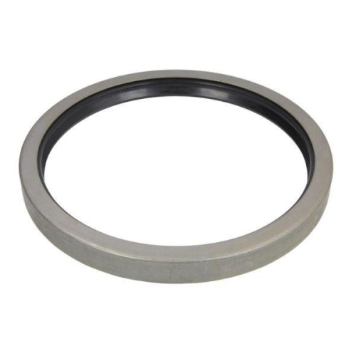 BTA Wellendichtring, Radnabe B06-2169