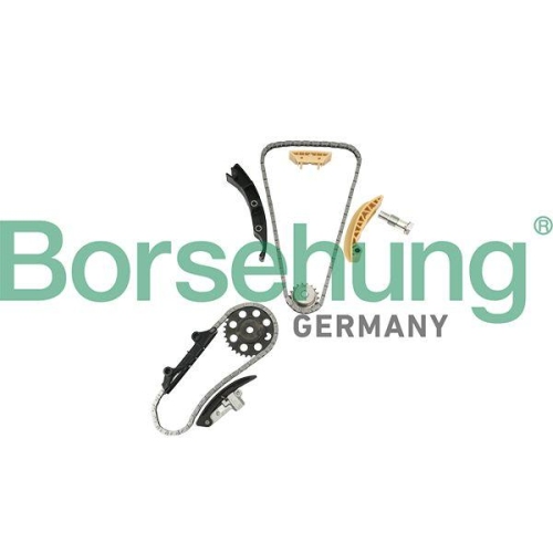 Borsehung Steuerkettensatz B18846