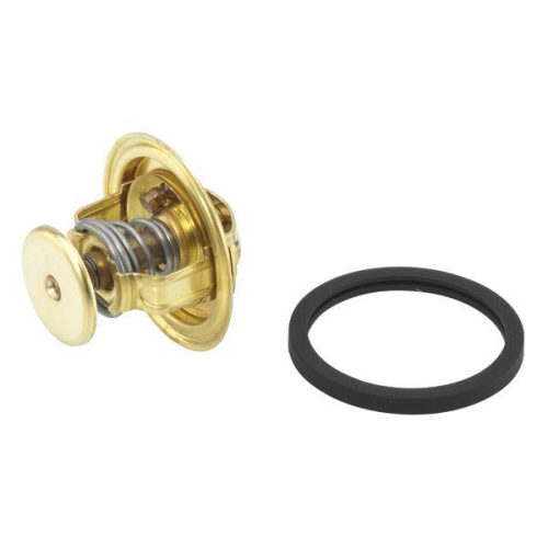 BorgWarner (Wahler) Thermostat, Kühlmittel