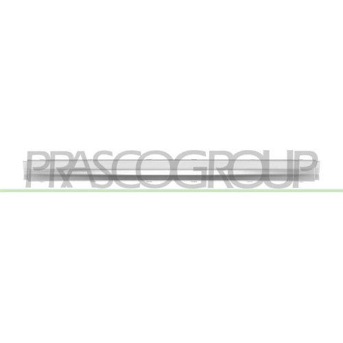 PRASCO Zier-/Schutzleiste, Sto&szlig;f&auml;nger ME4501275
