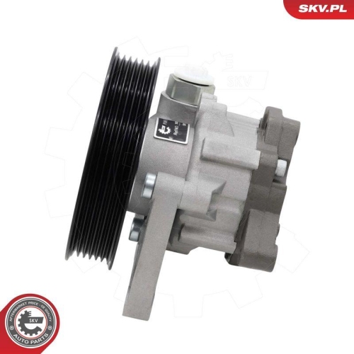 ESEN SKV Hydraulikpumpe, Lenkung 10SKV335