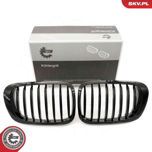 ESEN SKV Kühlergitter