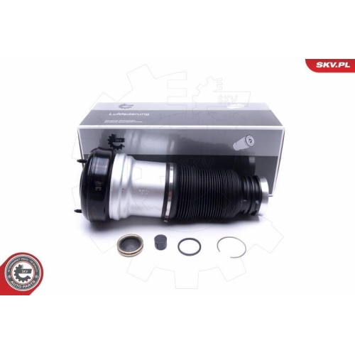 ESEN SKV Luftfederbein