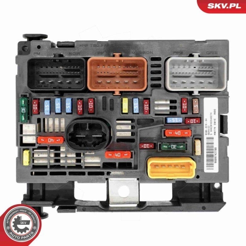 ESEN SKV Steuerger&auml;t, Motormanagement 96SKV323