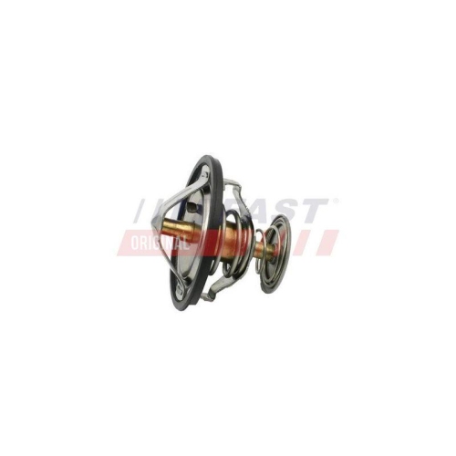 FAST Thermostat, K&uuml;hlmittel FT58083