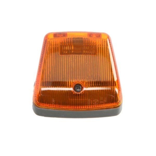 TRUCKLIGHT Blinkleuchte CL-ME004L