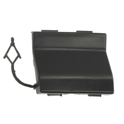 BLIC Stoßfängerabdeckung, Anhängevorrichtung 5513-00-9569920P