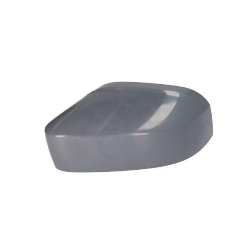 BLIC Gehäuse, Außenspiegel 6103-01-0104291P