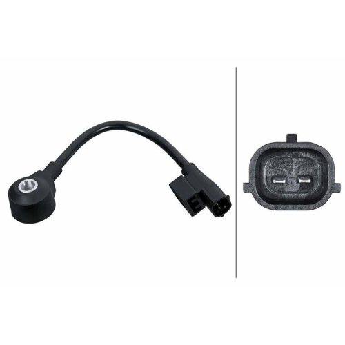 HELLA Klopfsensor 6PG 013 114-711