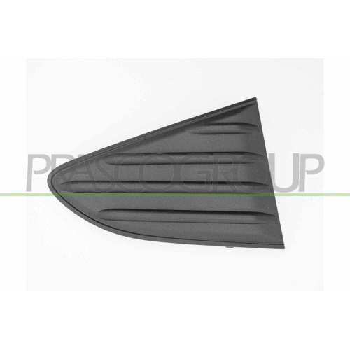 PRASCO Zier-/Schutzleiste, Sto&szlig;f&auml;nger TY3302153
