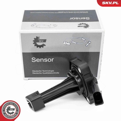 ESEN SKV Sensor, Motor&ouml;lstand