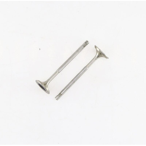 CORTECO Einlassventil 550323B