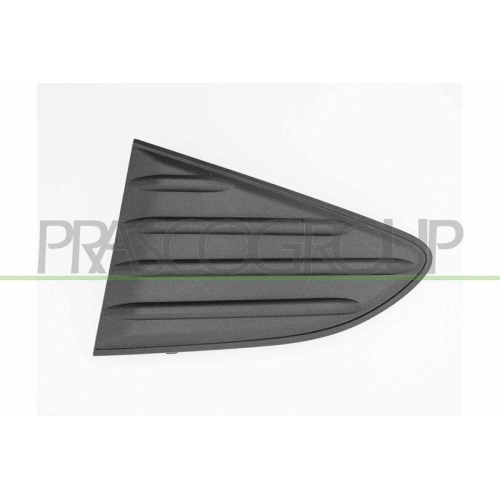 PRASCO Zier-/Schutzleiste, Sto&szlig;f&auml;nger TY3302154